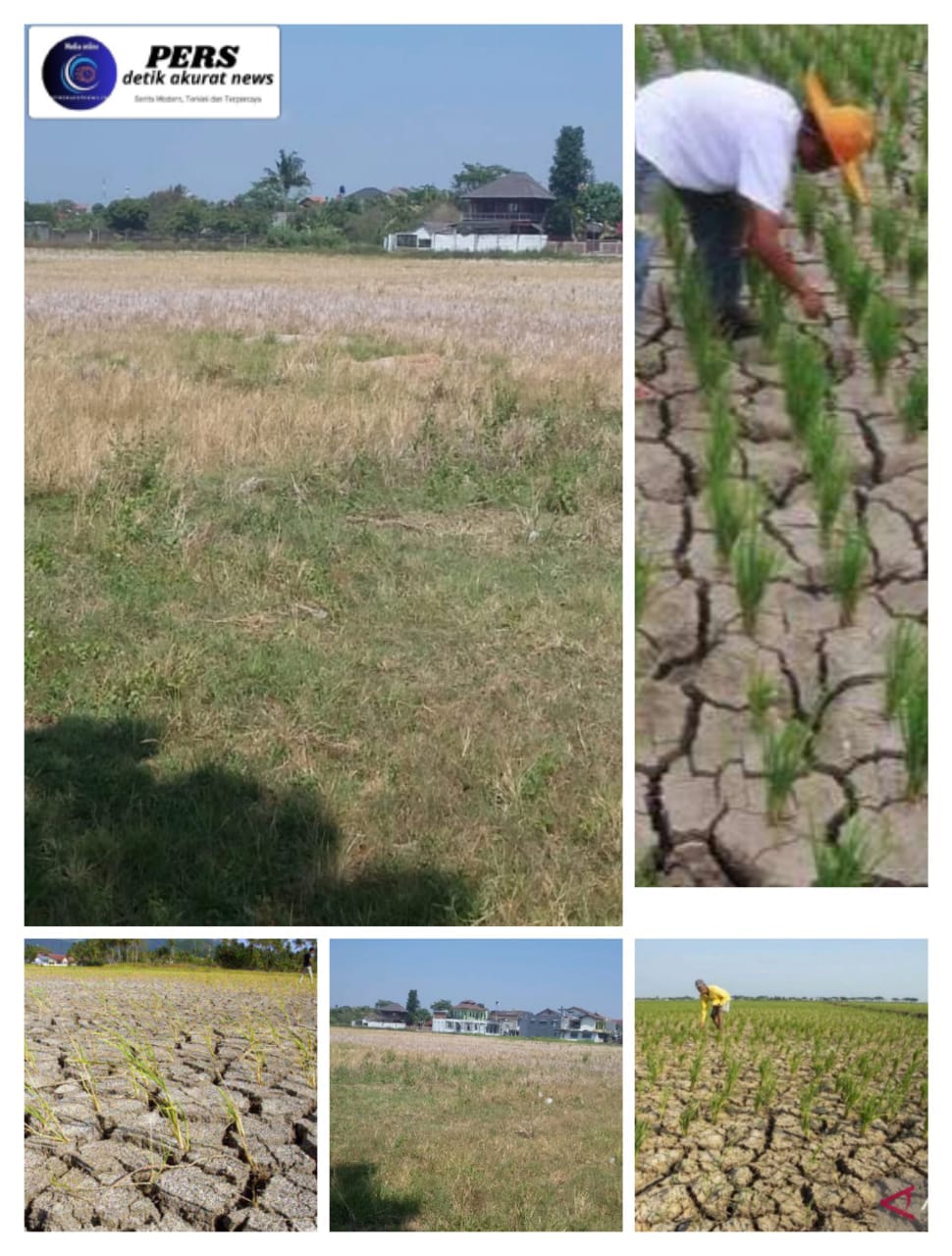 SEBAGIAN DAERAH DI JAWA BARAT MULAI TERDAMPAK KEKERINGAN AKIBAT MUSIM KEMARAU